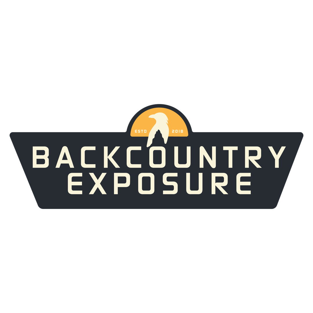 BCX Logo Sticker
