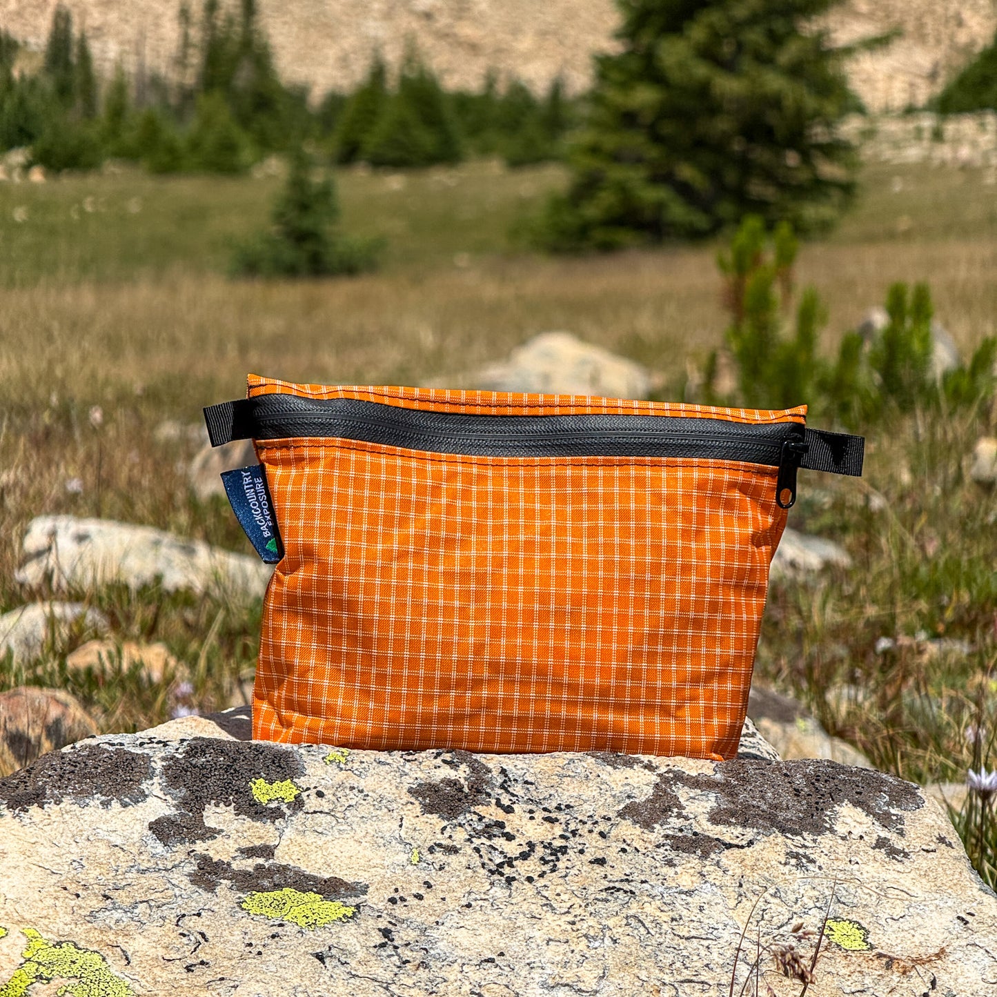 LITTLE DITTY - Backcountry Exposure