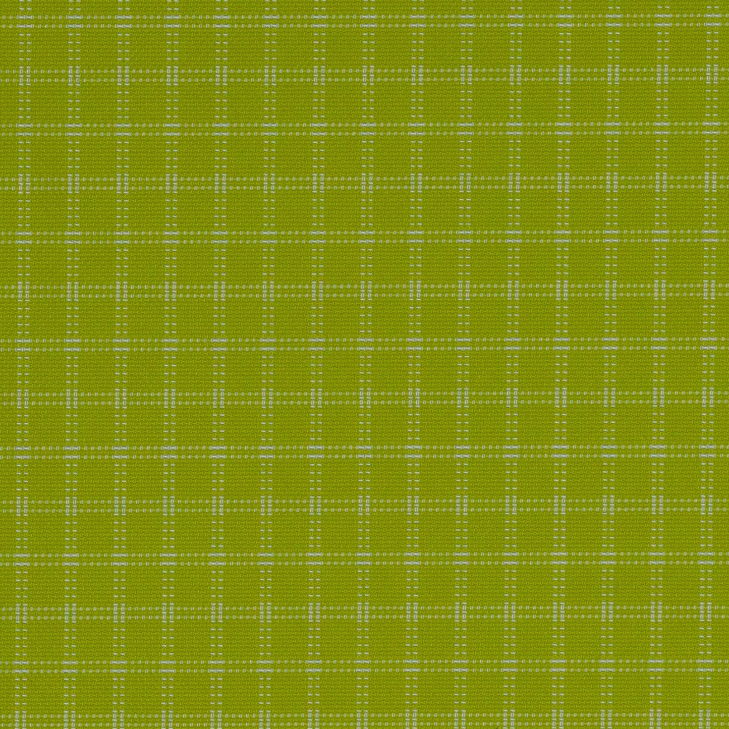 MINI DITTY - Backcountry Exposure