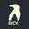 Backcountry Exposure logo