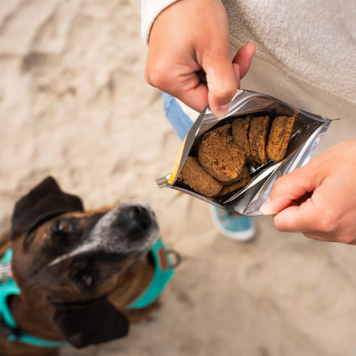 Maple Pecan Trail Cookies - Angry Pika Food Co. - Backcountry Exposure
