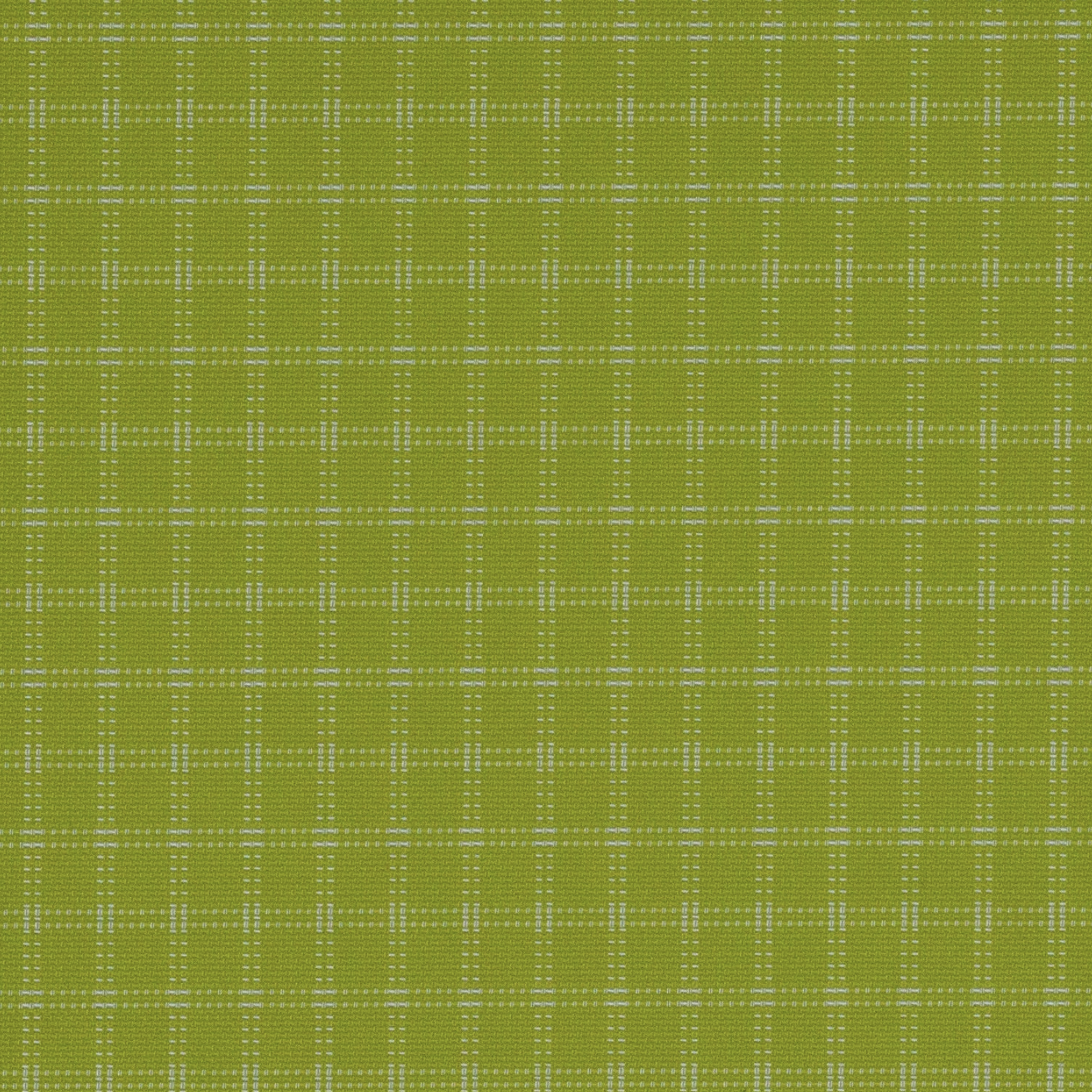 MINI DITTY - Backcountry Exposure